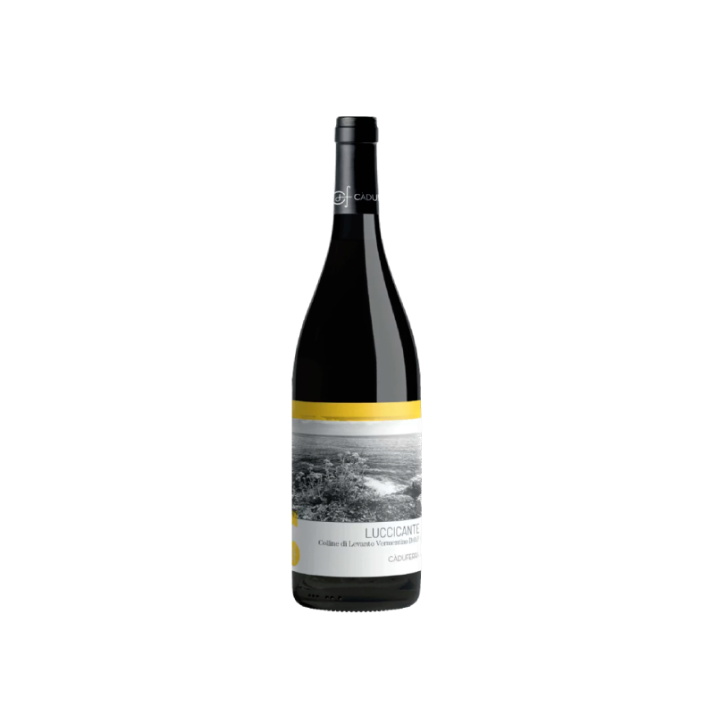 Image of Cà du Ferrà Colline di Levanto Vermentino Luccicante 2023