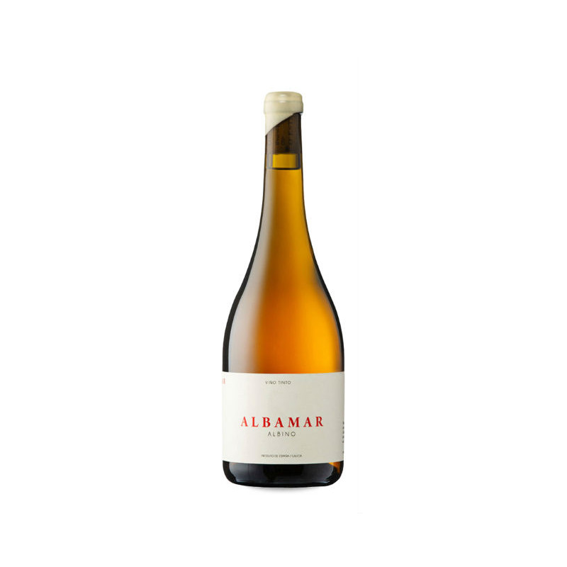 Image of Albamar Albino 2023