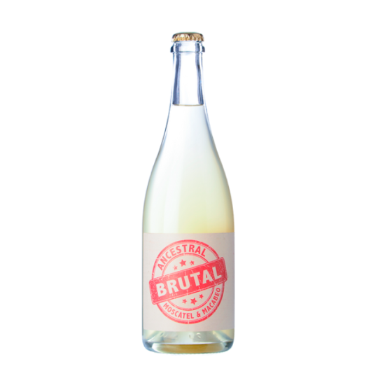 Cueva Brutal Ancestral 2023