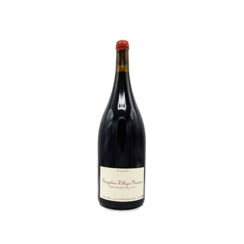 Image of Xavier Benier Beaujolais-Villages Nouveau 2024