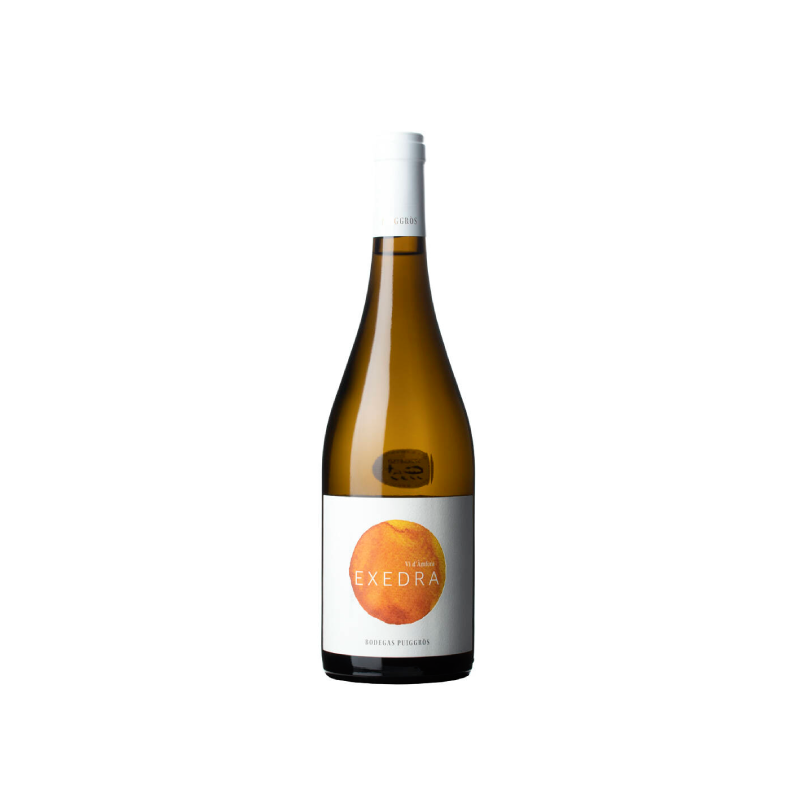 Image of Exedra Amphora Blanc 2023