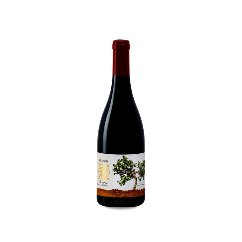 Image of Recanati Petit Syrah Reserva 2019