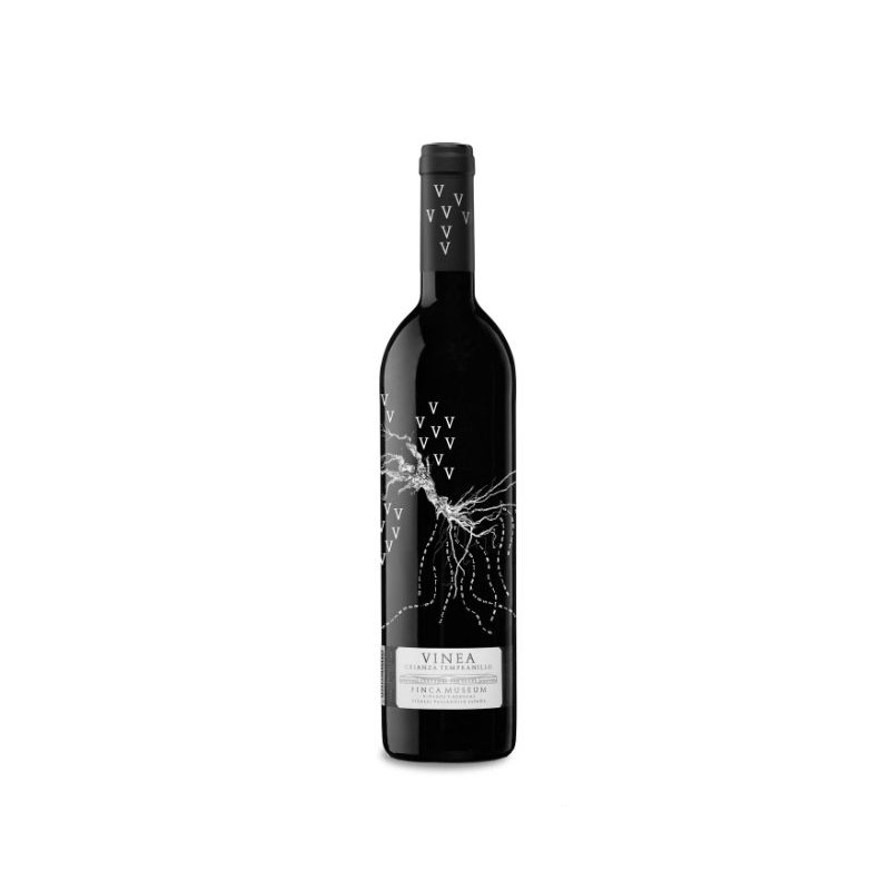 Image of Museum Vinea Crianza 2021