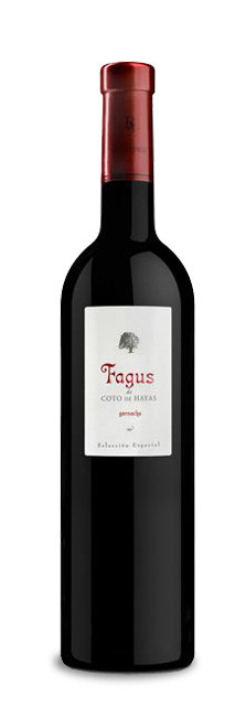 Fagus Fagus