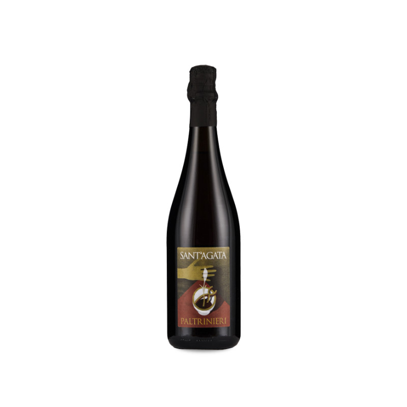 Image of Paltrinieri Lambrusco di Sorbara Sant' Agata 2023