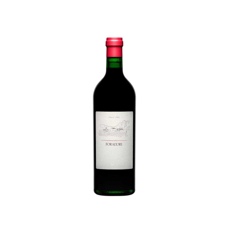Image of Foradori Teroldego 2023