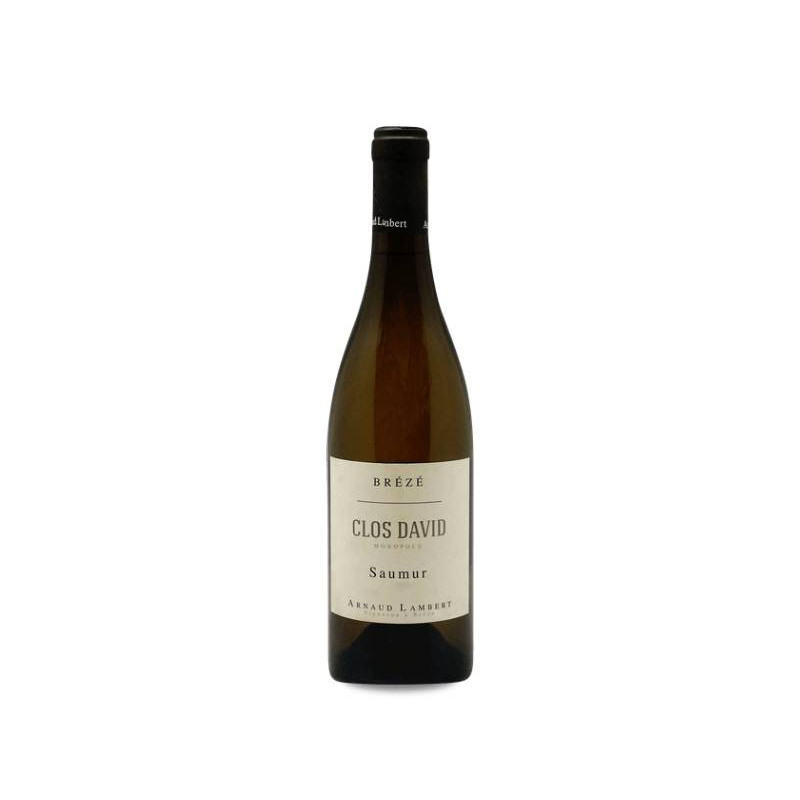 Image of Arnaud Lambert Clos David 2021