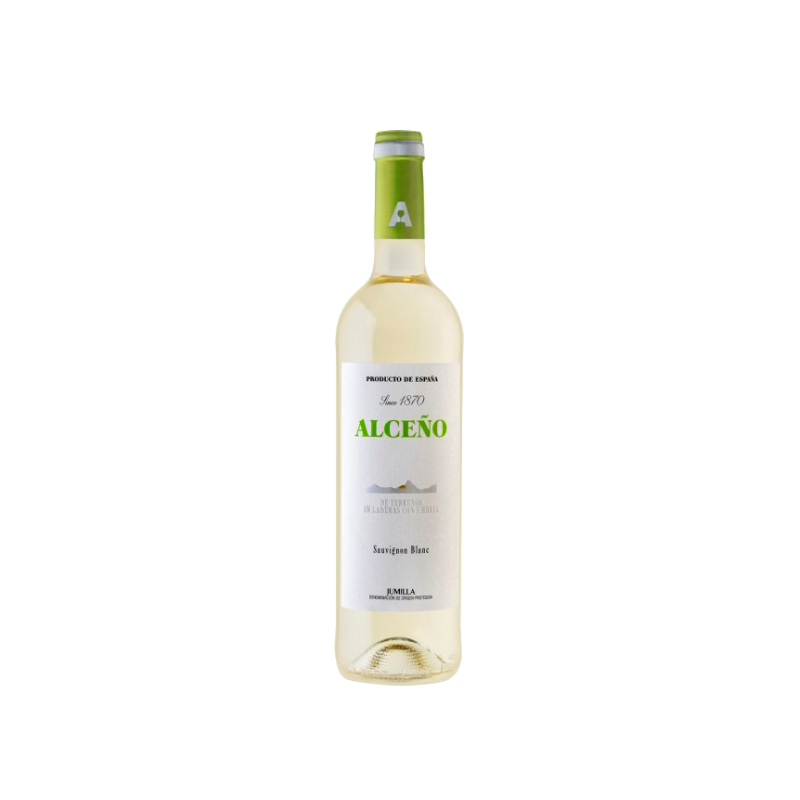 Image of Alceño Blanco Joven 2024