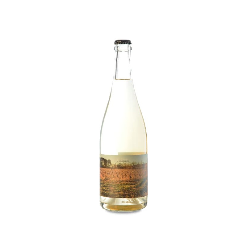 Image of Vinyes Singulars Minipuça 2023