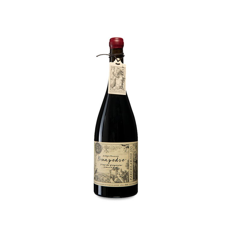 Image of El Extranjero Finca Penapedre 2022