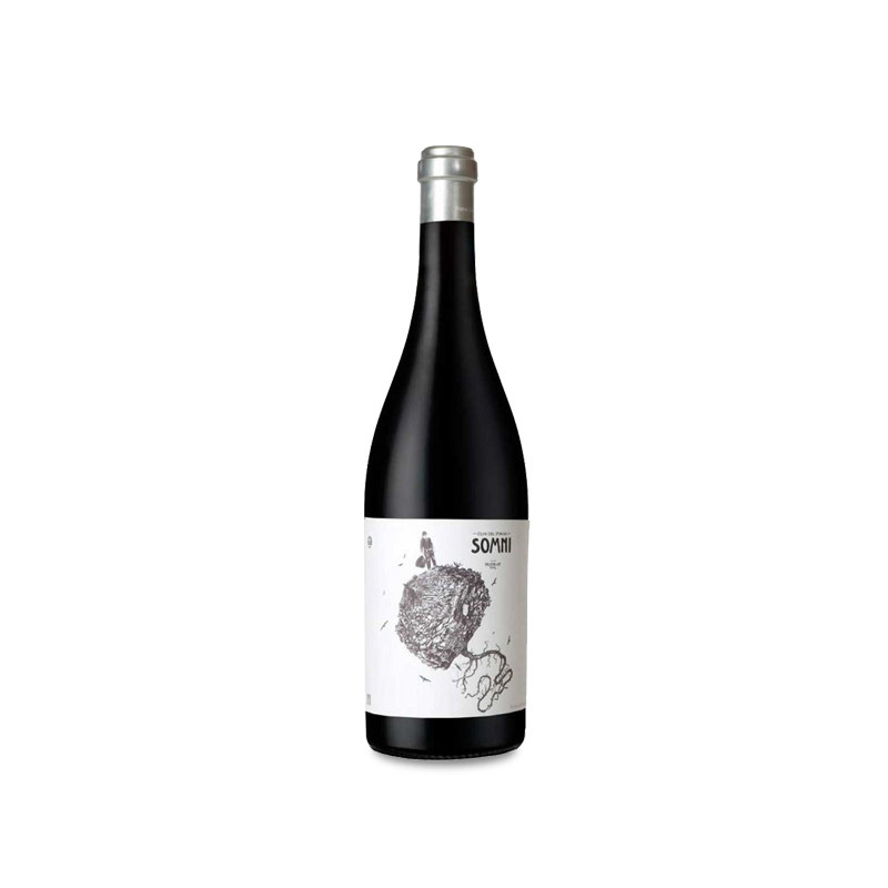 Image of Portal Del Priorat Somni 2020