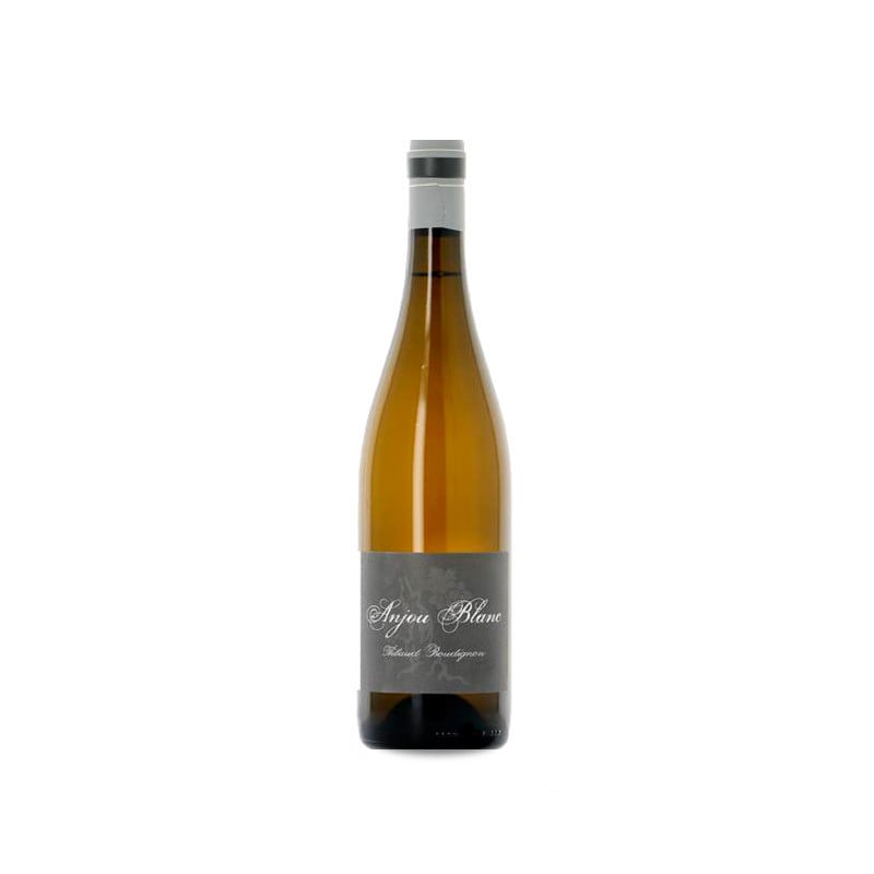 Image of Thibaud Boudignon Anjou Blanc 2023