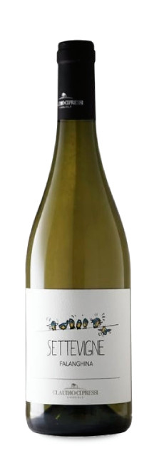Claudio Cipressi Falanghina Settevigne