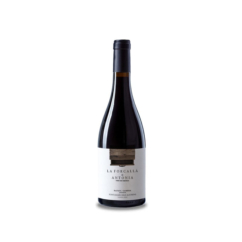 Image of La Forcallà de Antonia 2023
