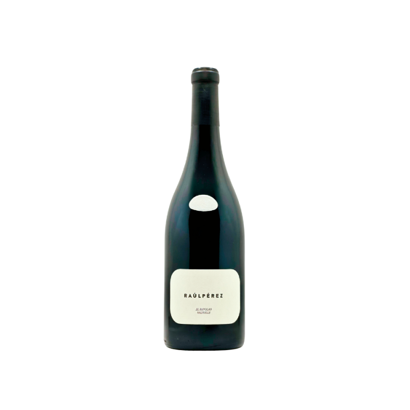 Raúl Pérez Rapolao RP 2021