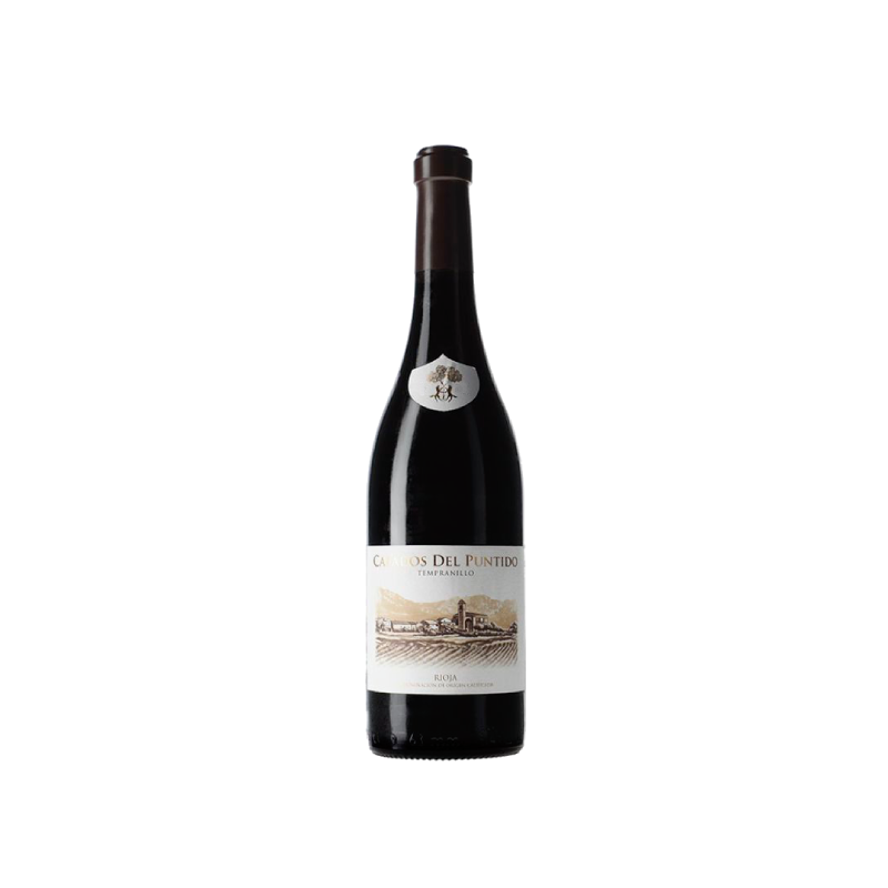 Image of Viñedos de Páganos Calados del Puntido 2020