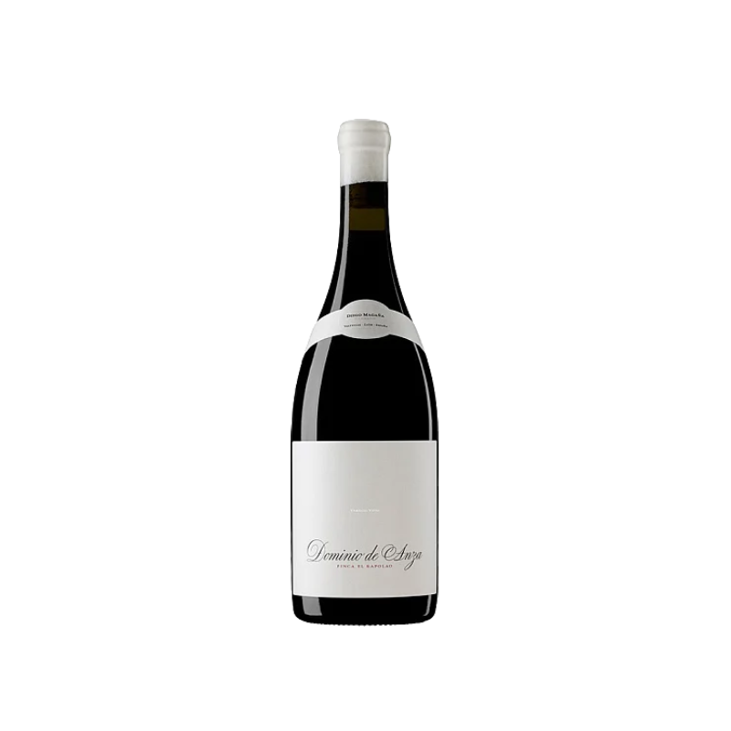 Diego Magaña Dominio de Anza El Rapolao 2022