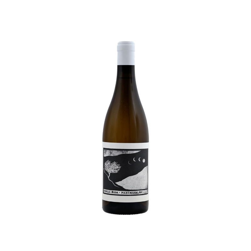 Image of Swartberg Wingerde Miracle Bush White 2022