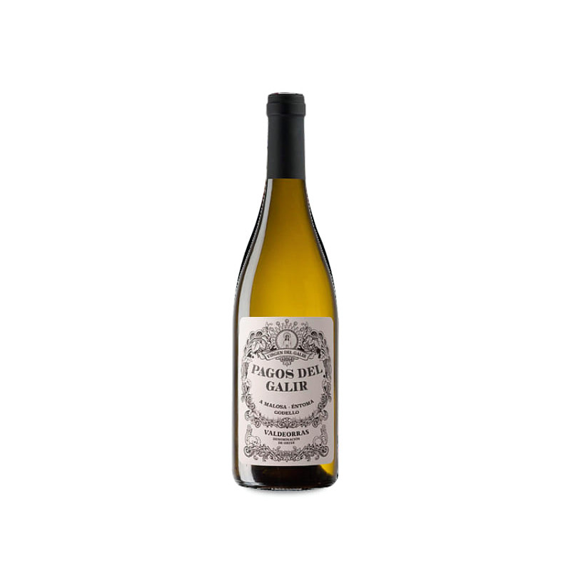 Image of Pagos de Galir Godello 2024