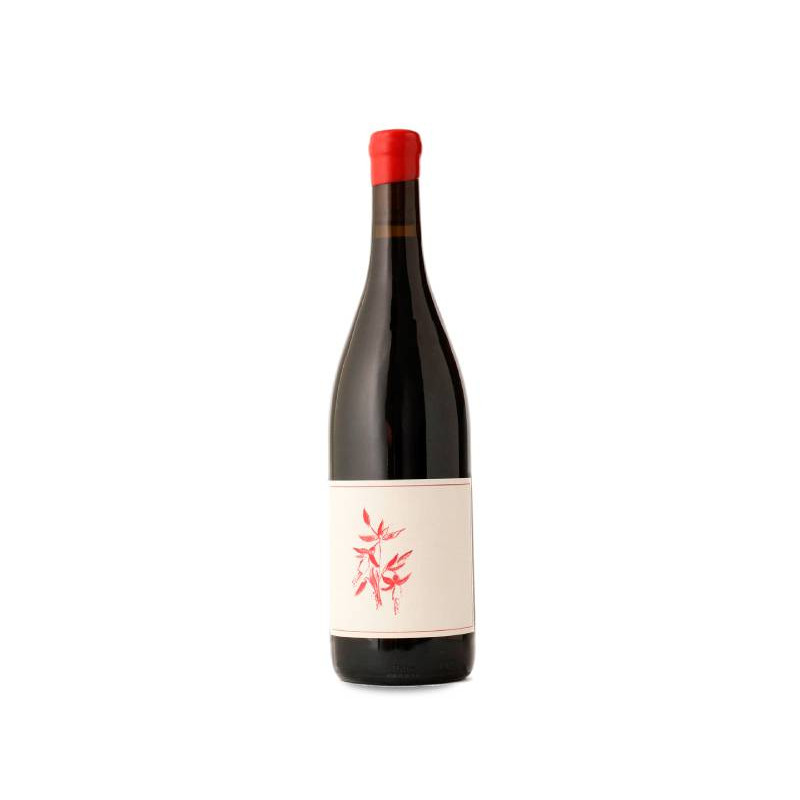 Image of Arnot-Roberts Heaven and Earth Pinot Noir 2023