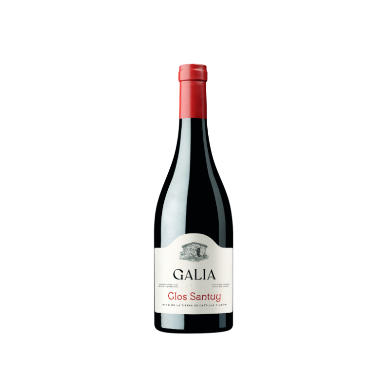 Image of Galia Clos Santuy 2022