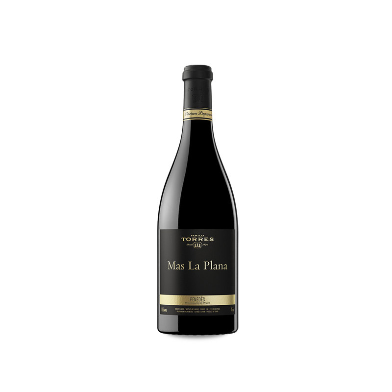 Image of Familia Torres Mas La Plana 2019
