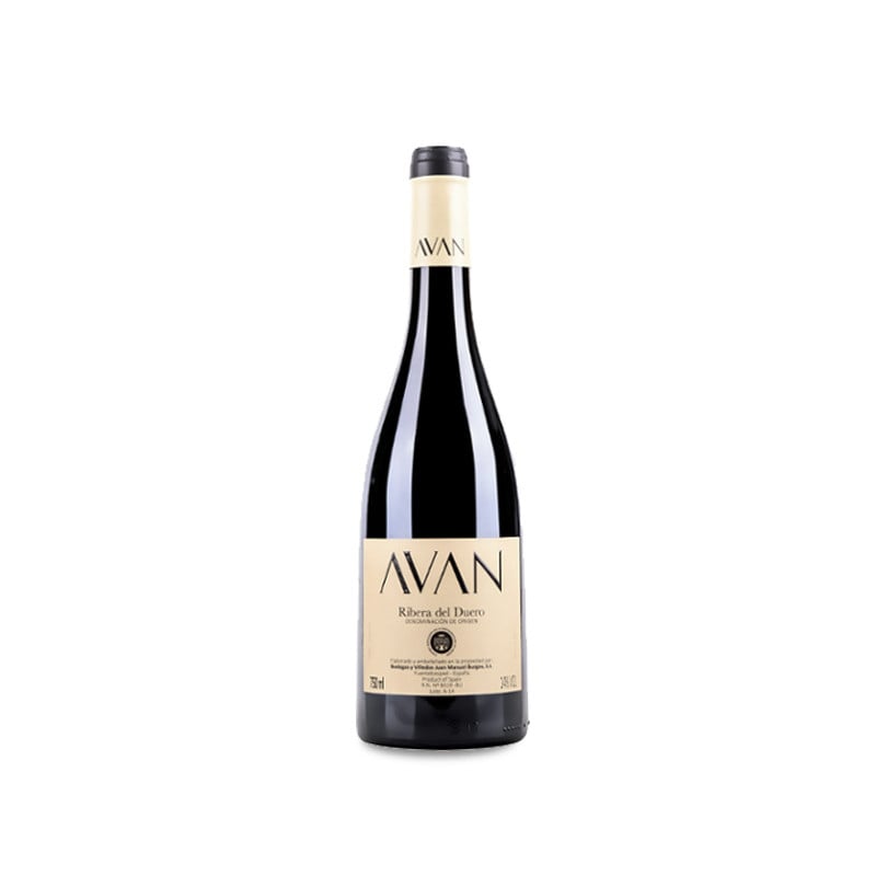 Image of Juan Manuel Burgos Avan Tinto 2023
