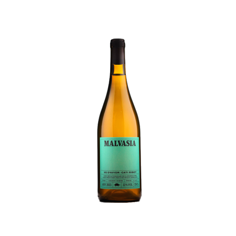 Image of Cati Ribot Malvasia 2024