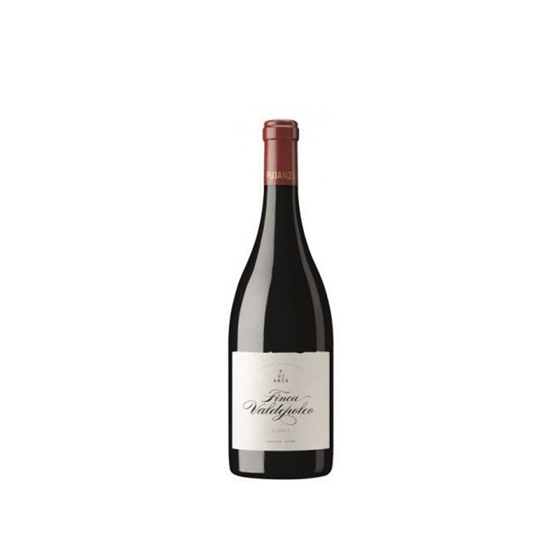 Image of Pujanza Finca Valdepoleo 2020