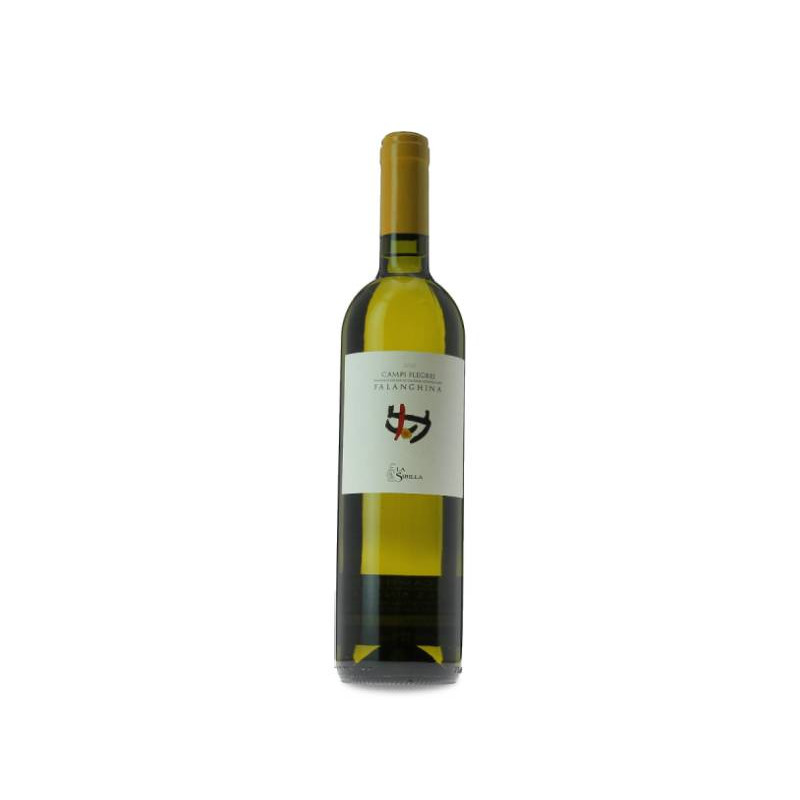 Image of La Sibilla Campi Flegrei Falanghina 2024
