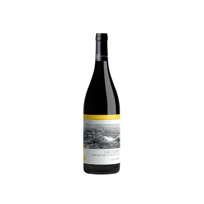 Image of Cà du Ferrà Colline di Levanto Vermentino Luccicante 2024