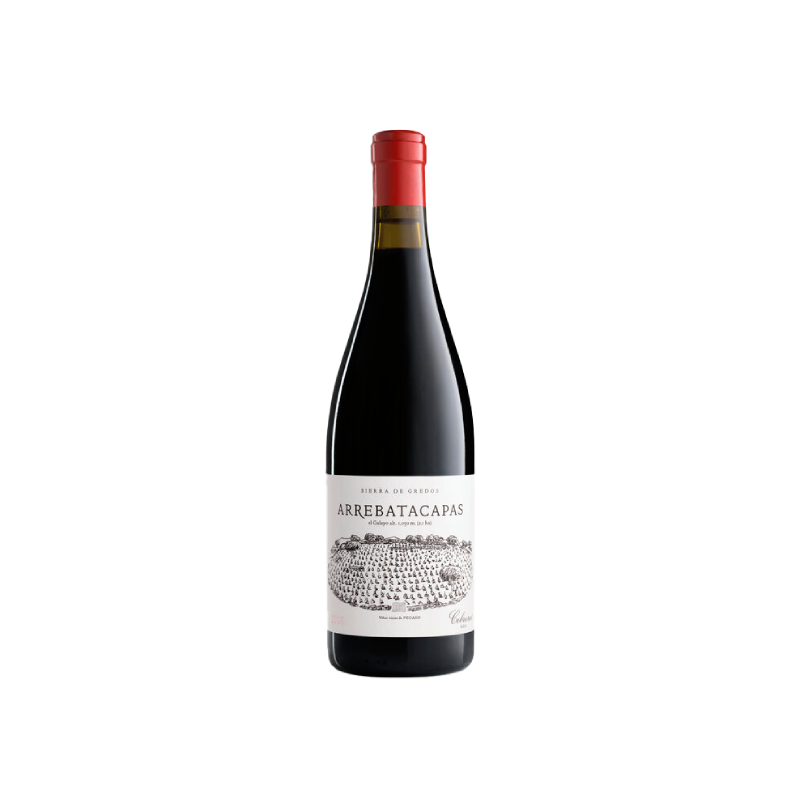 Telmo Rodríguez Pegaso Arrebatacapas 2022