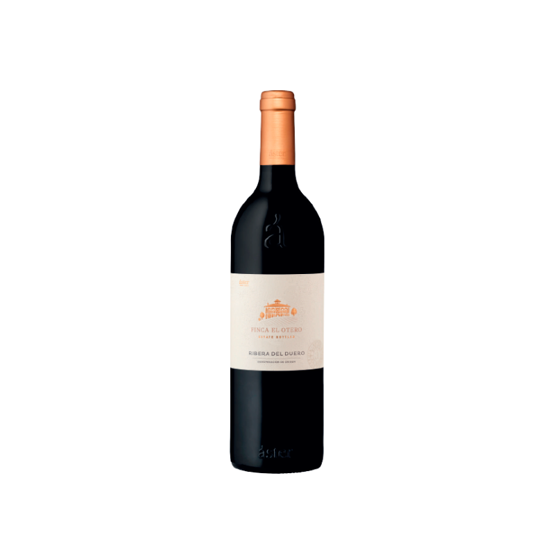 Image of Áster Finca El Otero 2021