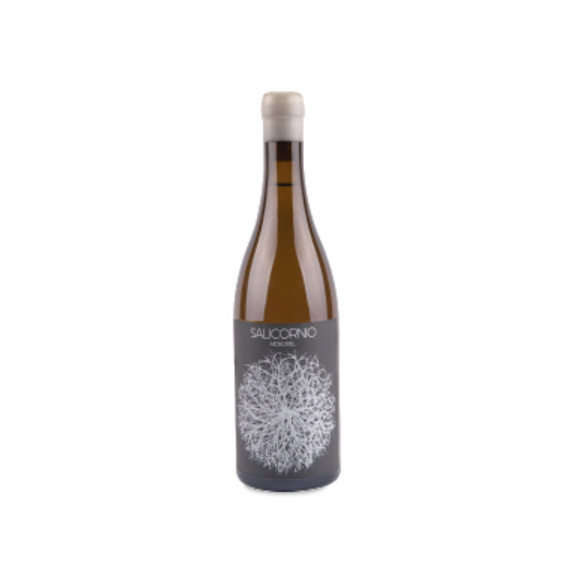 Casa Balaguer Salicornio Moscatel 2024