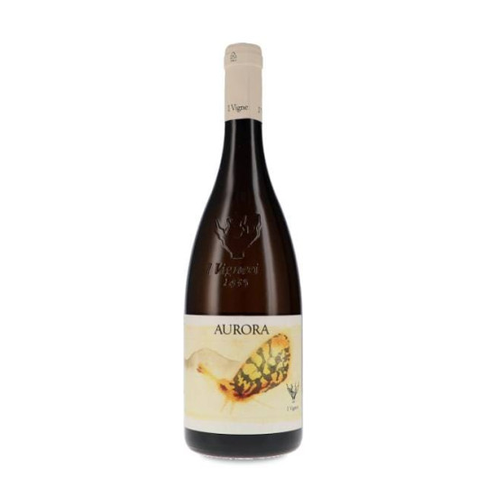 I Vigneri di Salvo Foti...
