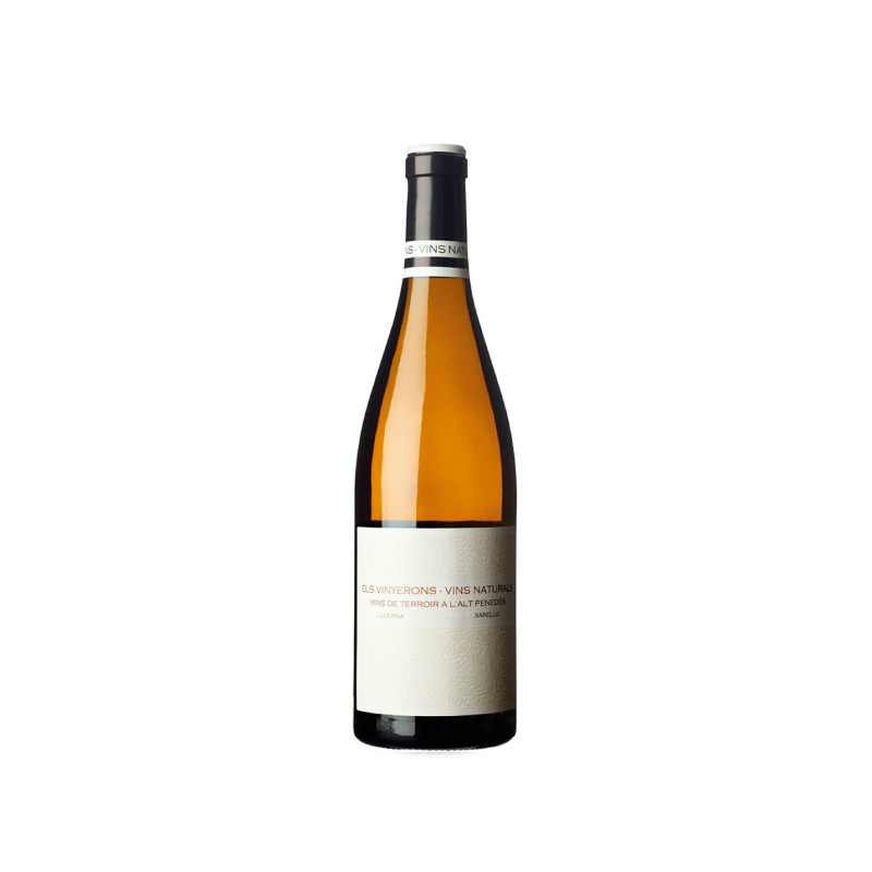 Els Vinyerons Lluerna Blanc 2024