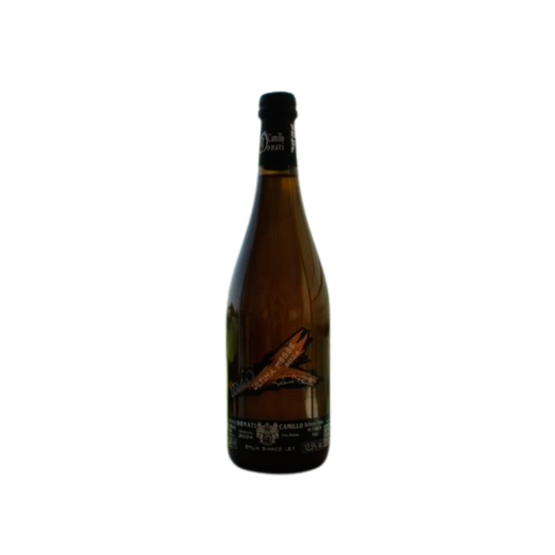 Camillo Donati Ultima Messe 2024