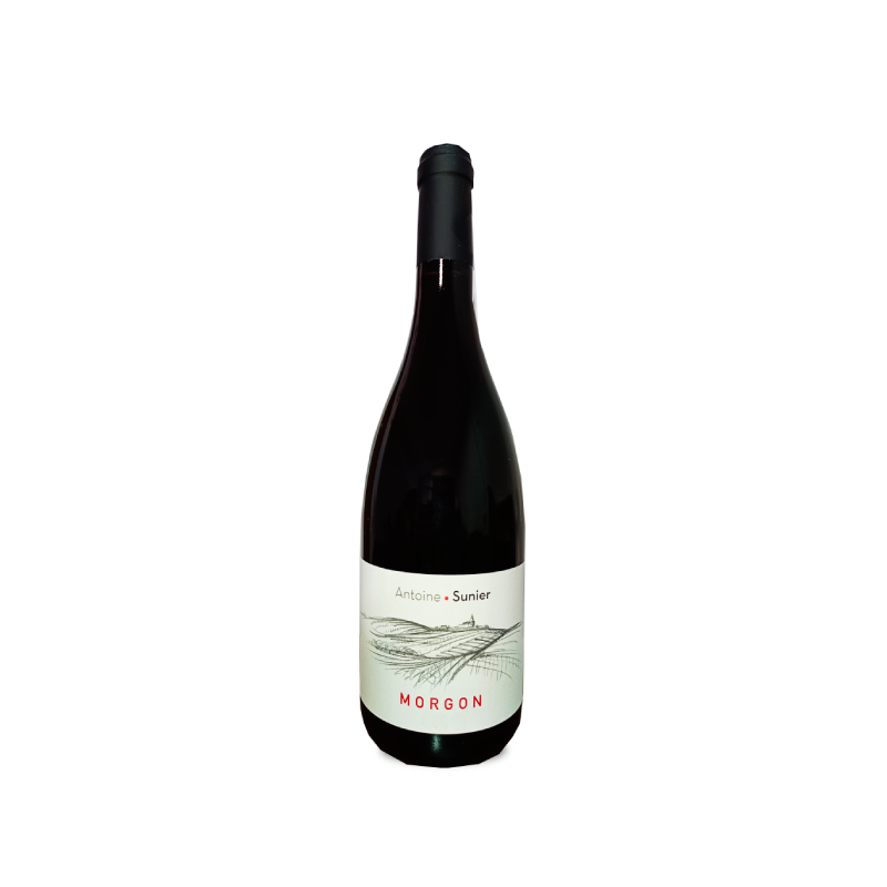Antoine Sunier Morgon 2023