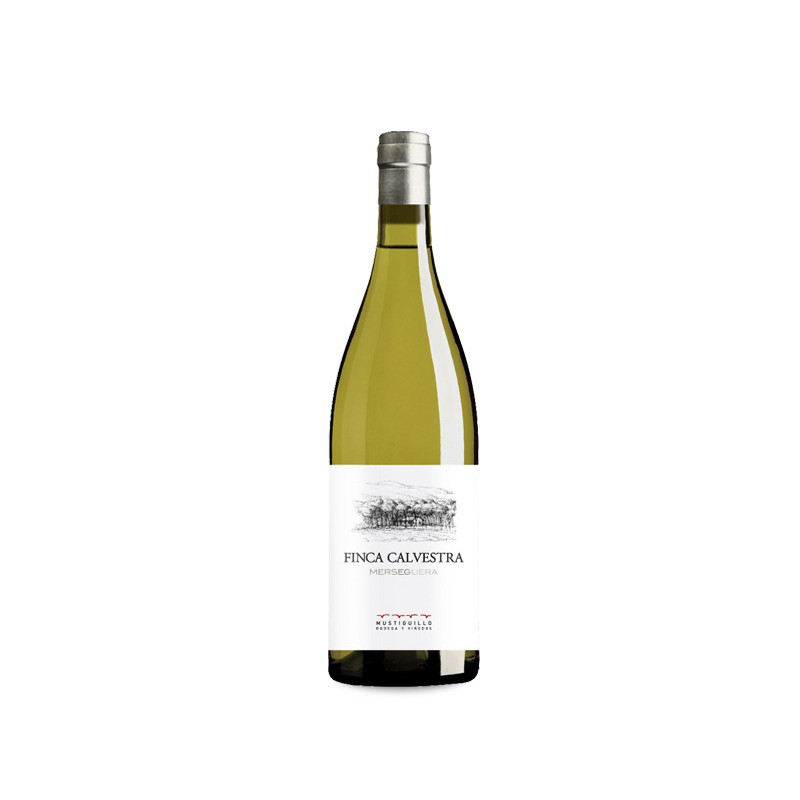 Image of Finca Calvestra 2024