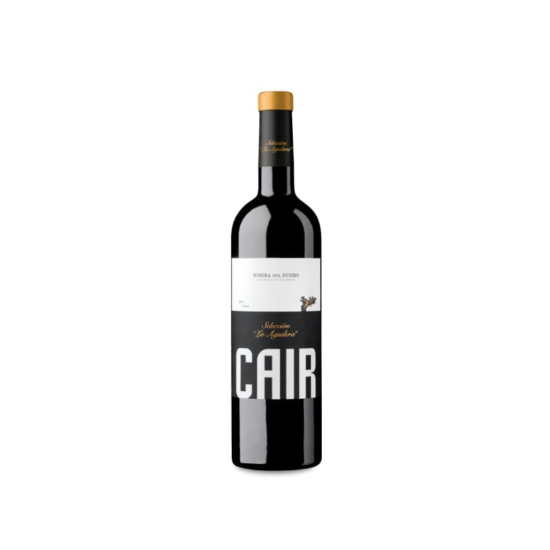 Image of Cair Selección La Aguilera 2021