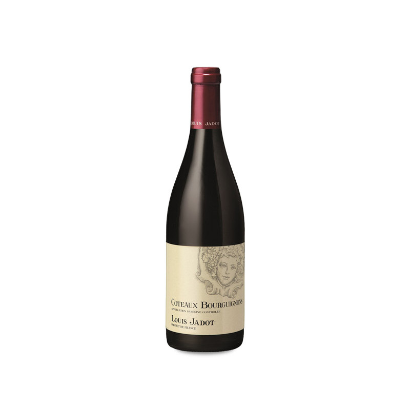 Louis Jadot Coteaux Bourguignons Rouge 2024 | Decántalo