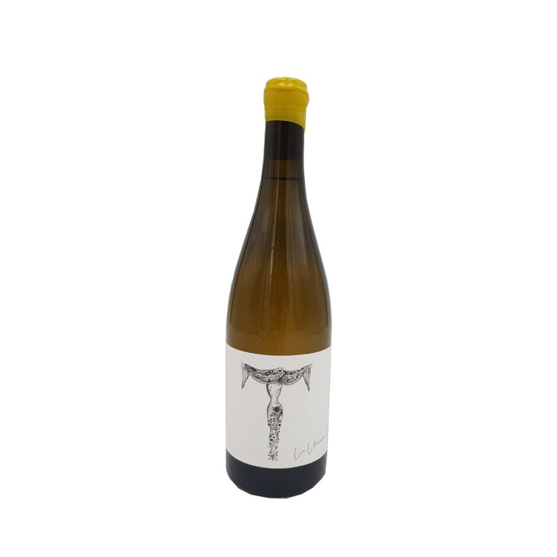 Verónica Ortega La Llorona 2024