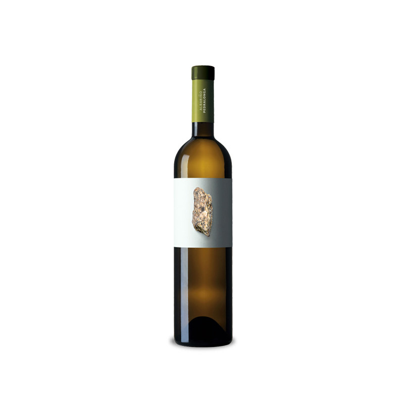 Adega Pedralonga Albariño 2024
