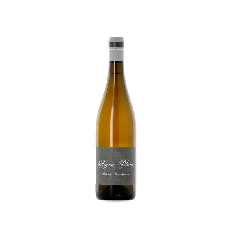 Image of Thibaud Boudignon Anjou Blanc 2024
