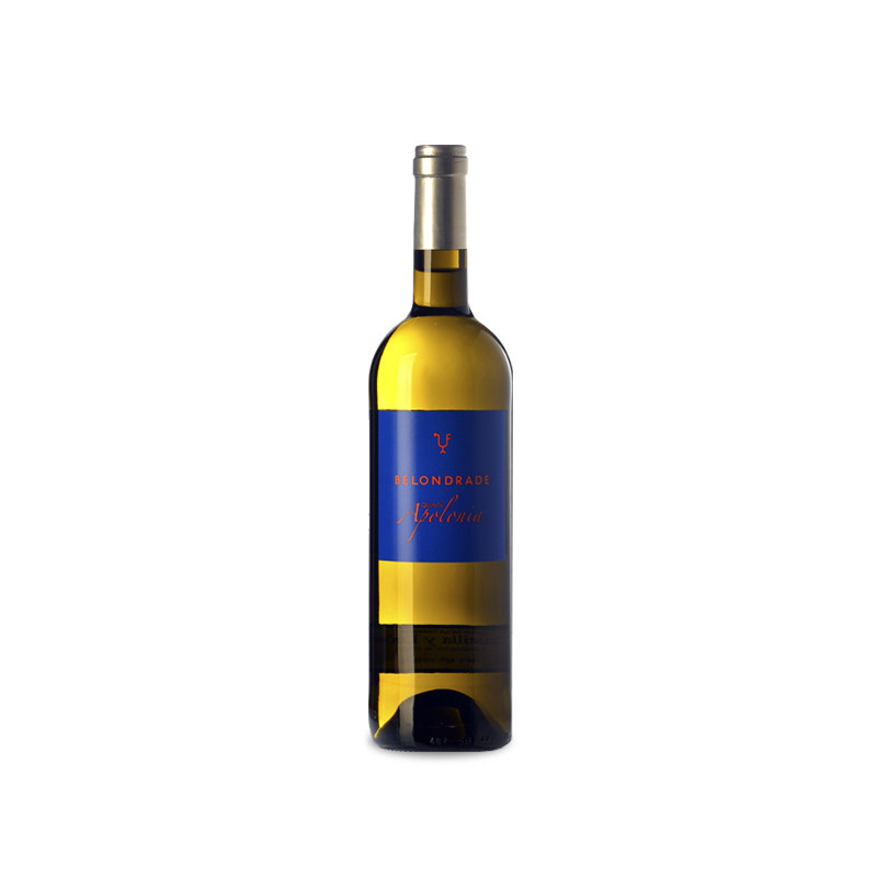 Image of Quinta Apolonia Magnum 2024
