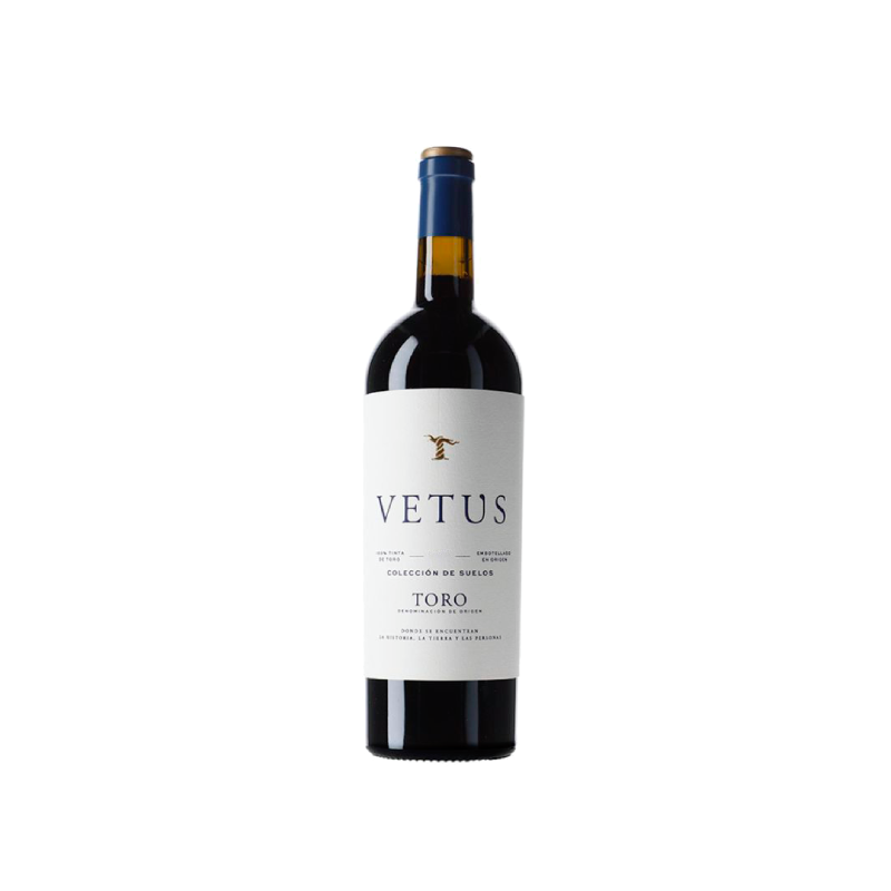 Image of Vetus 2023