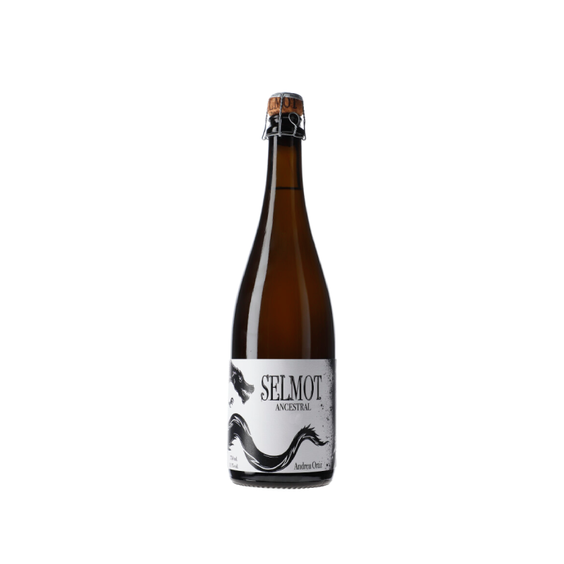 Família Nin-Ortiz Selmot Ancestral 2025