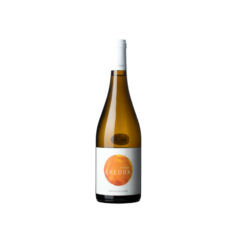 Image of Exedra Amphora Blanc 2024