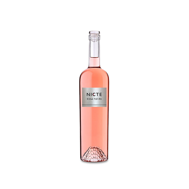 Image of Nicte Rosa Pálido 2025