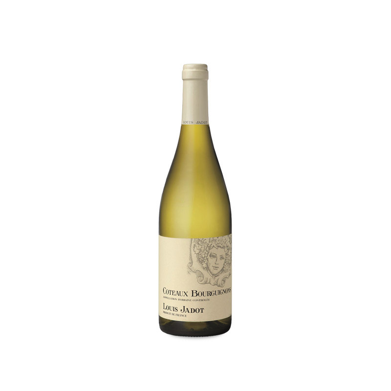 Image of Louis Jadot Coteaux Bourguignons Blanc 2024